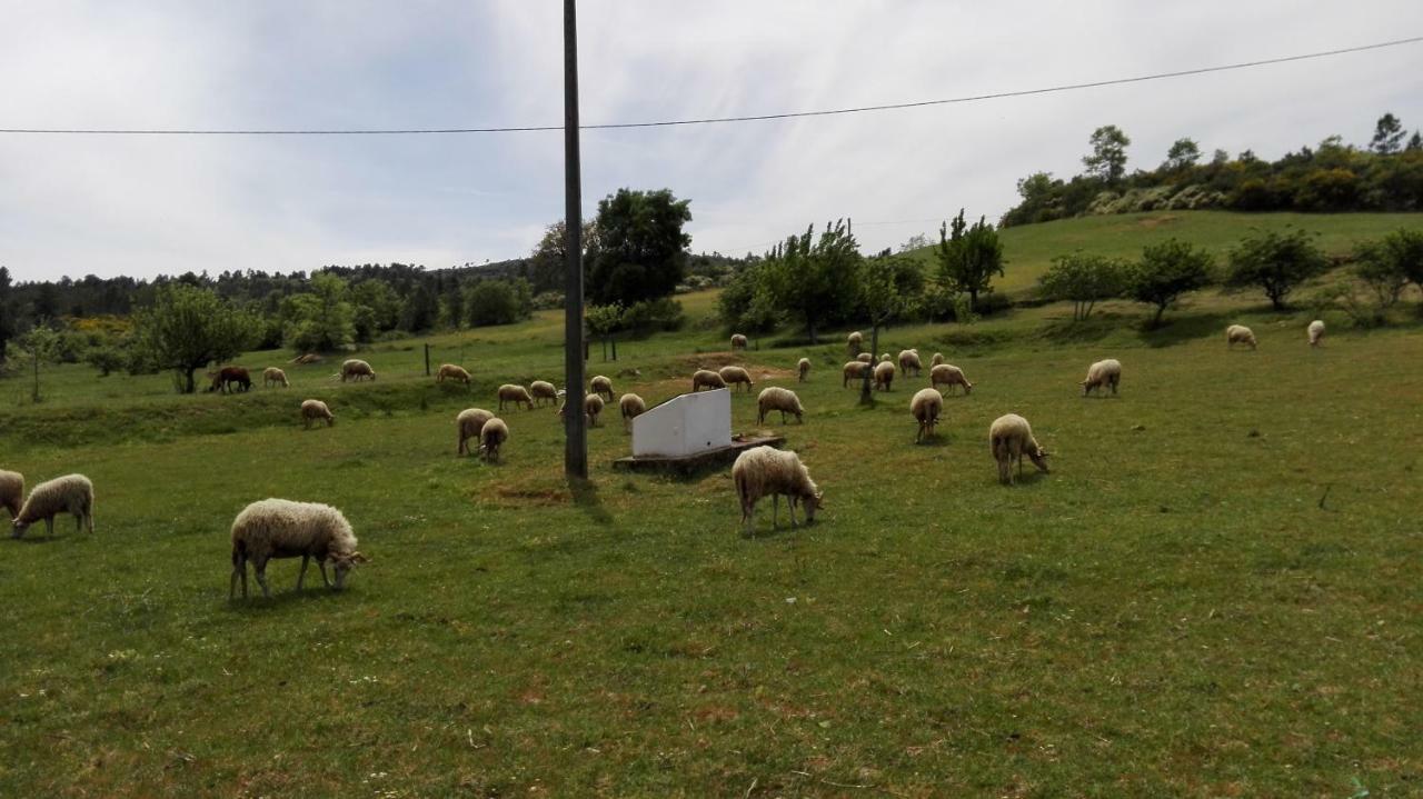 Casa De Malhoes Vilares Dış mekan fotoğraf