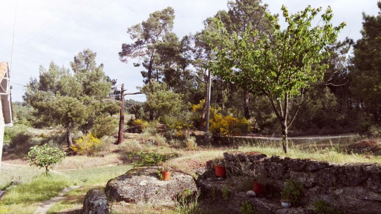 Casa De Malhoes Vilares Dış mekan fotoğraf
